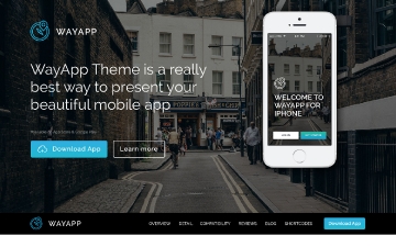 Gallery: Pellentesque non